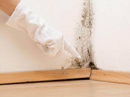 Mold Remediation for Vacation Homes in Clarksburg, WV